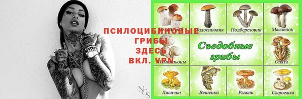 дурь Дмитриев