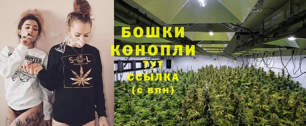 дурь Дмитриев