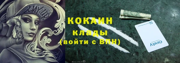 дурь Дмитриев